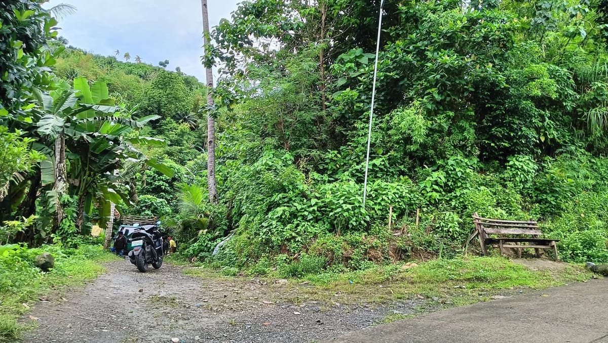 Titled Investment Property in San Antonio, Tomas Oppus