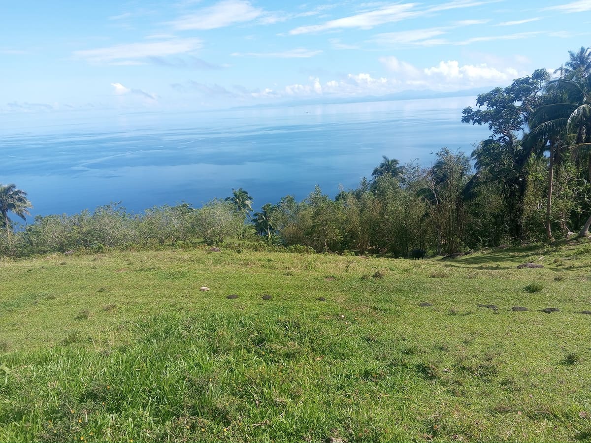 Countryside Lot in Pintuyan