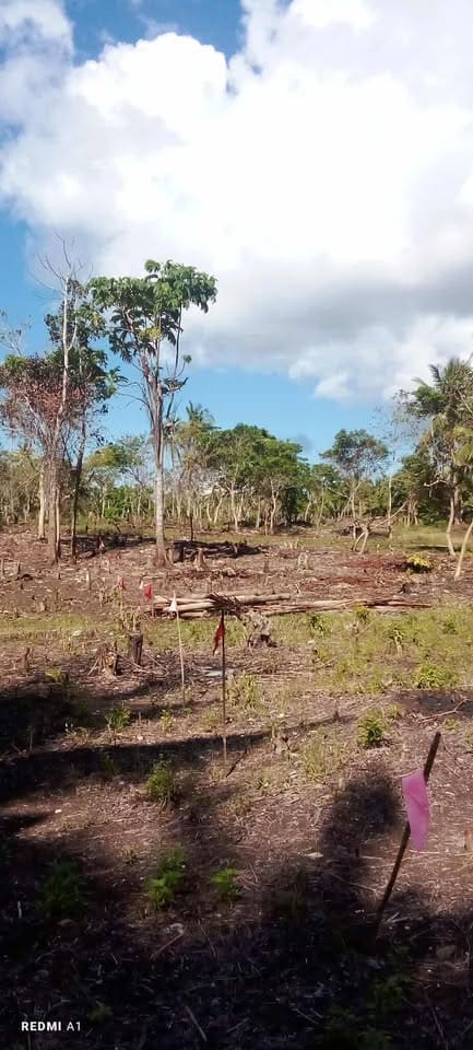 Residential Lot for Sale in San Roque, Macrohon