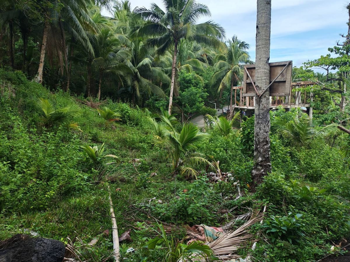 Roadside Lot for Sale in Buenavista, Padre Burgos