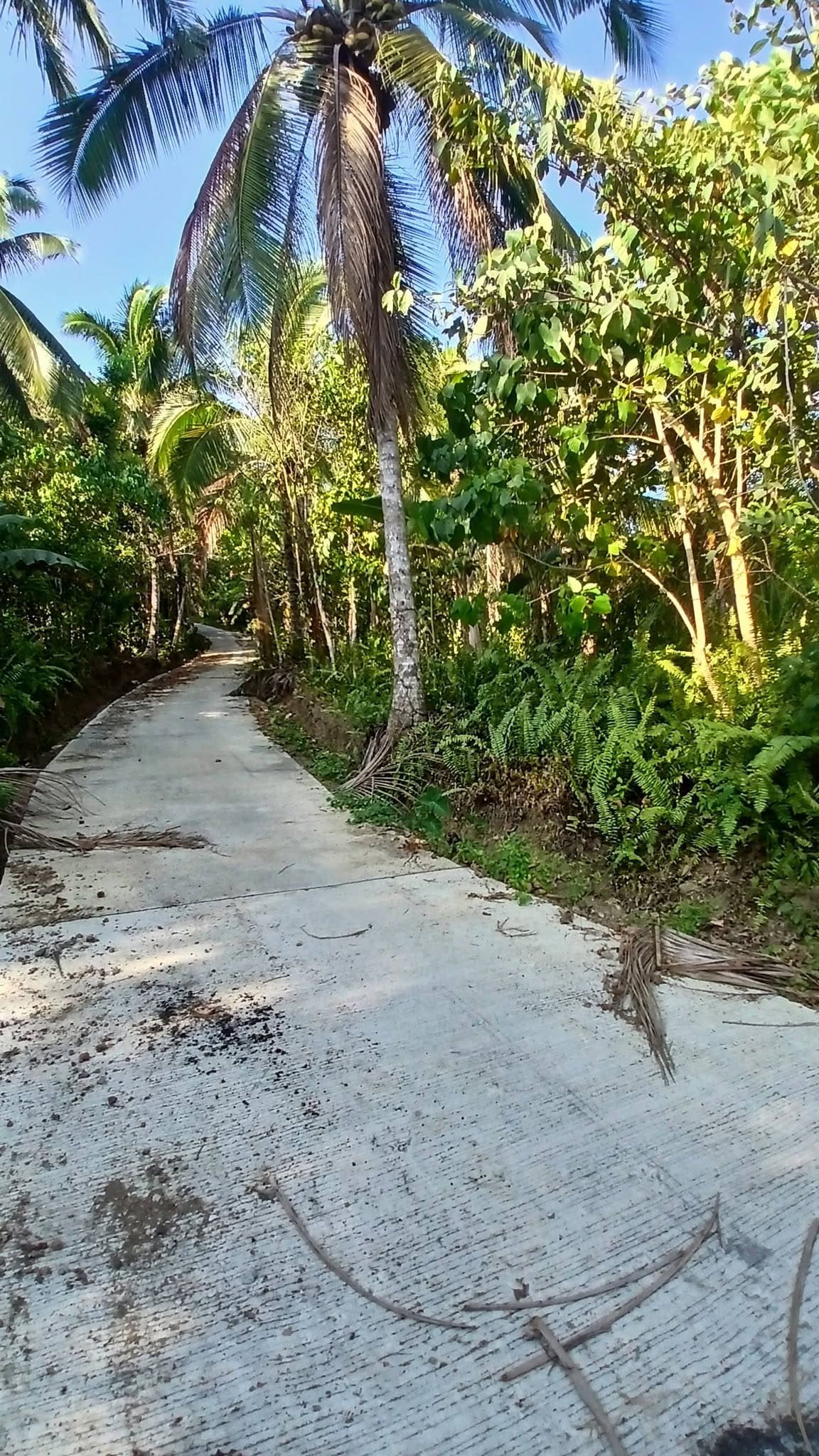 Prime Residential Lot for Sale in Santa Cruz, Maasin City