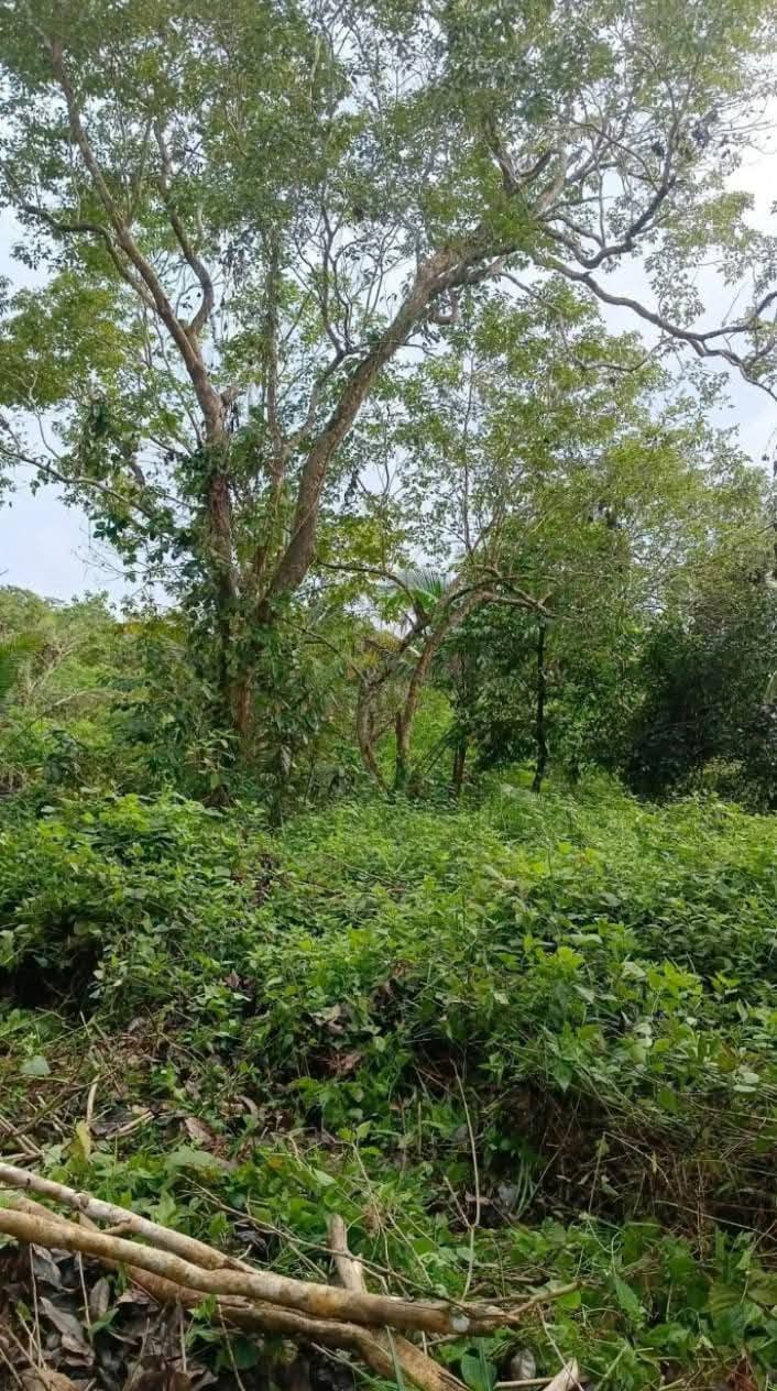 Residential Home Lot for Sale in Libhu, Maasin City