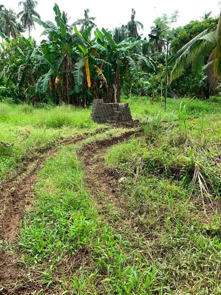 Prime Residential Property in Suba, Sogod
