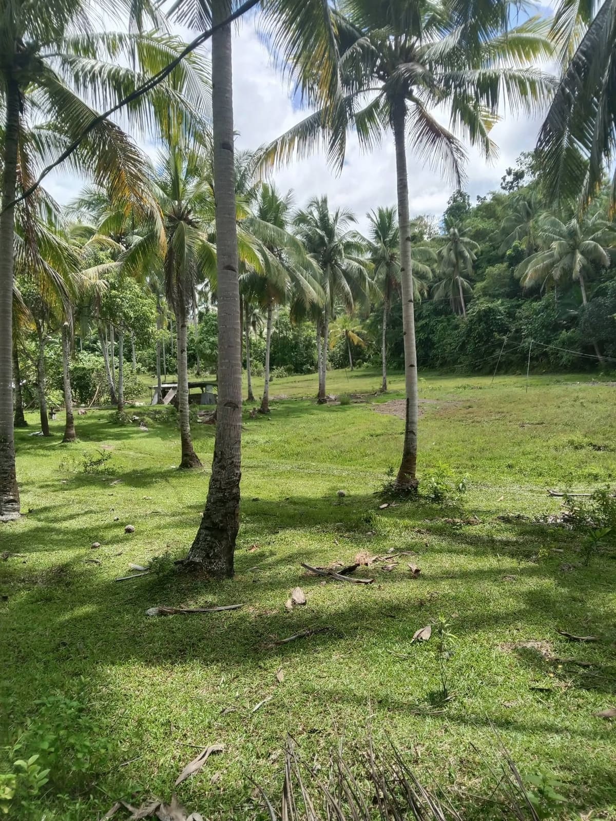 Investment Lot Along the Main Road in Maasin City