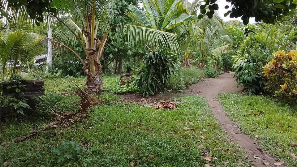 Build-Ready Residential Property in Concepcion