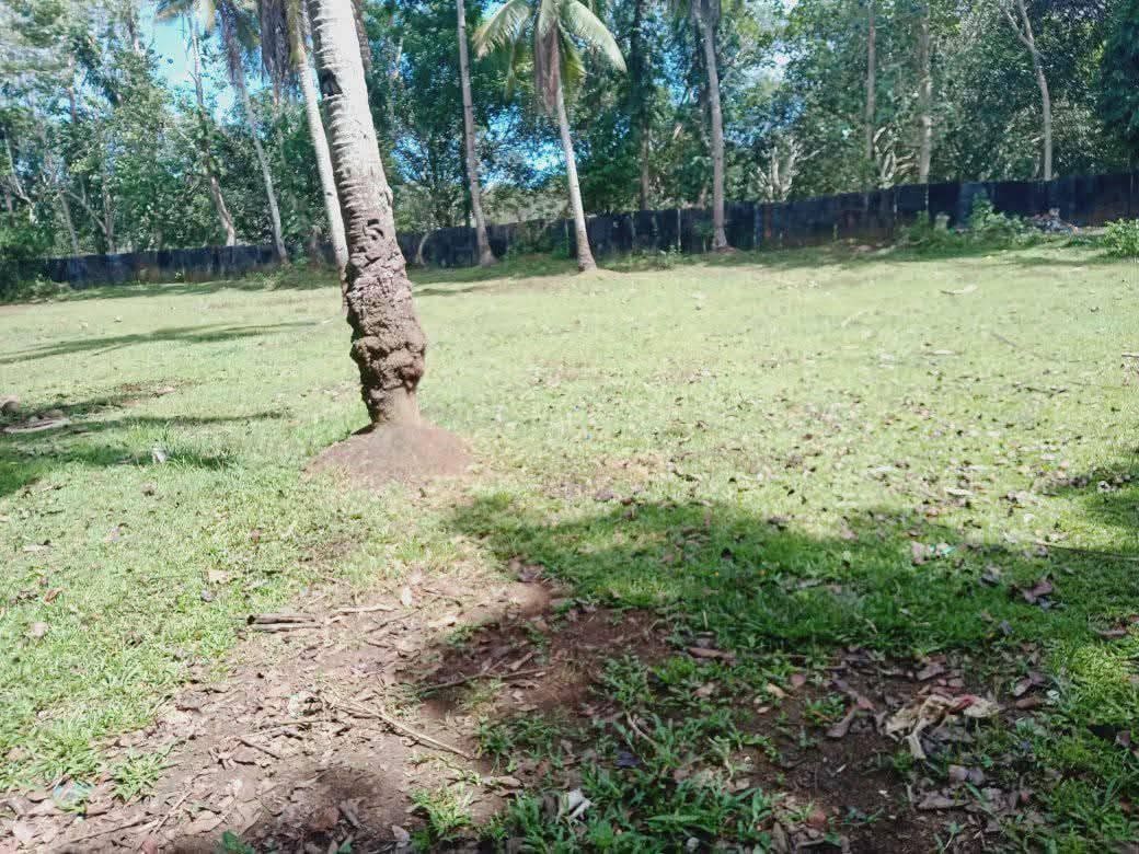 Productive Farm Lot with Great Potential in Lanao