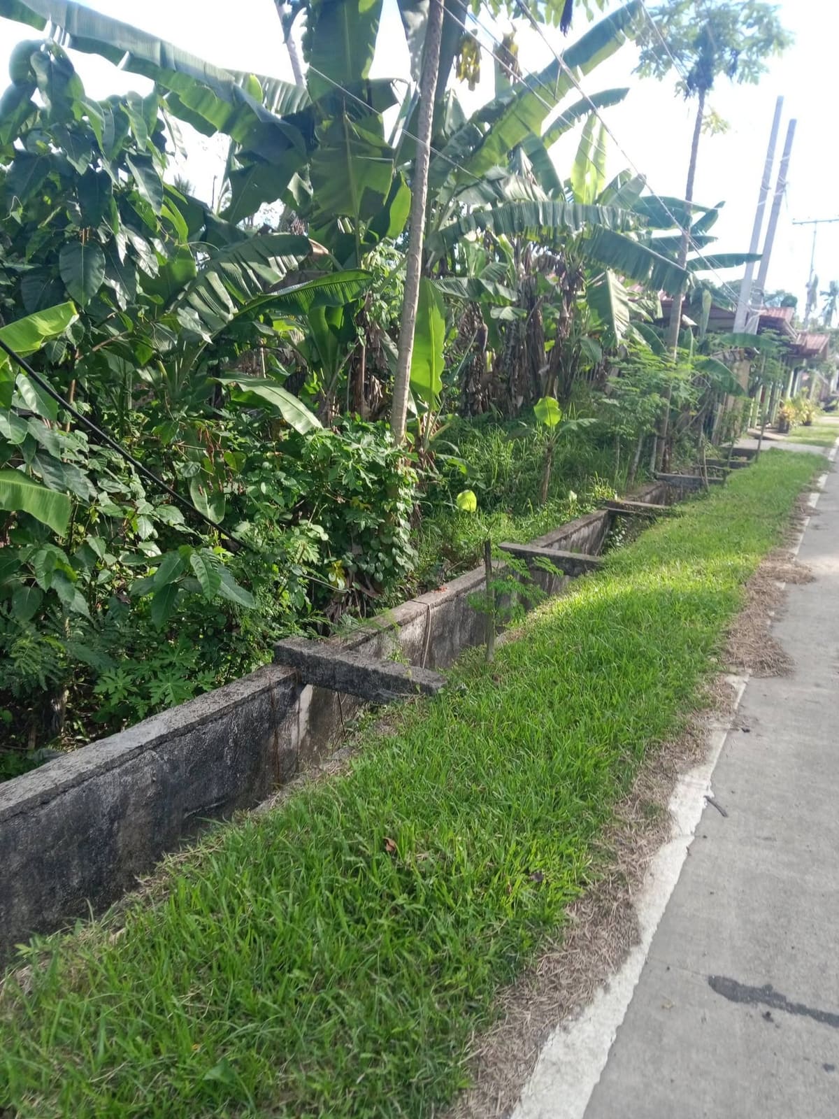Investment Property in Mahayahay, Maasin City