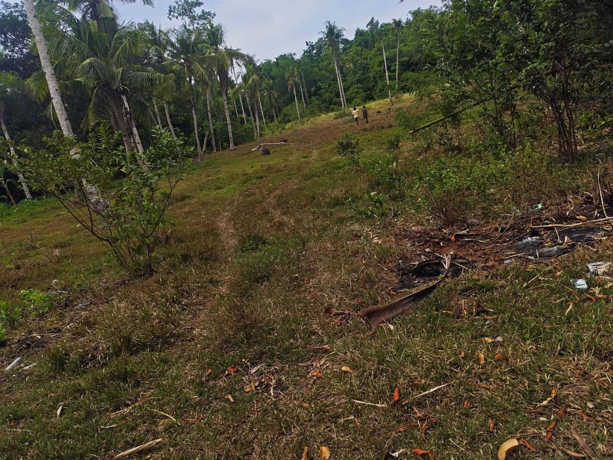 Roadside Property with Investment Potential in Manhilo