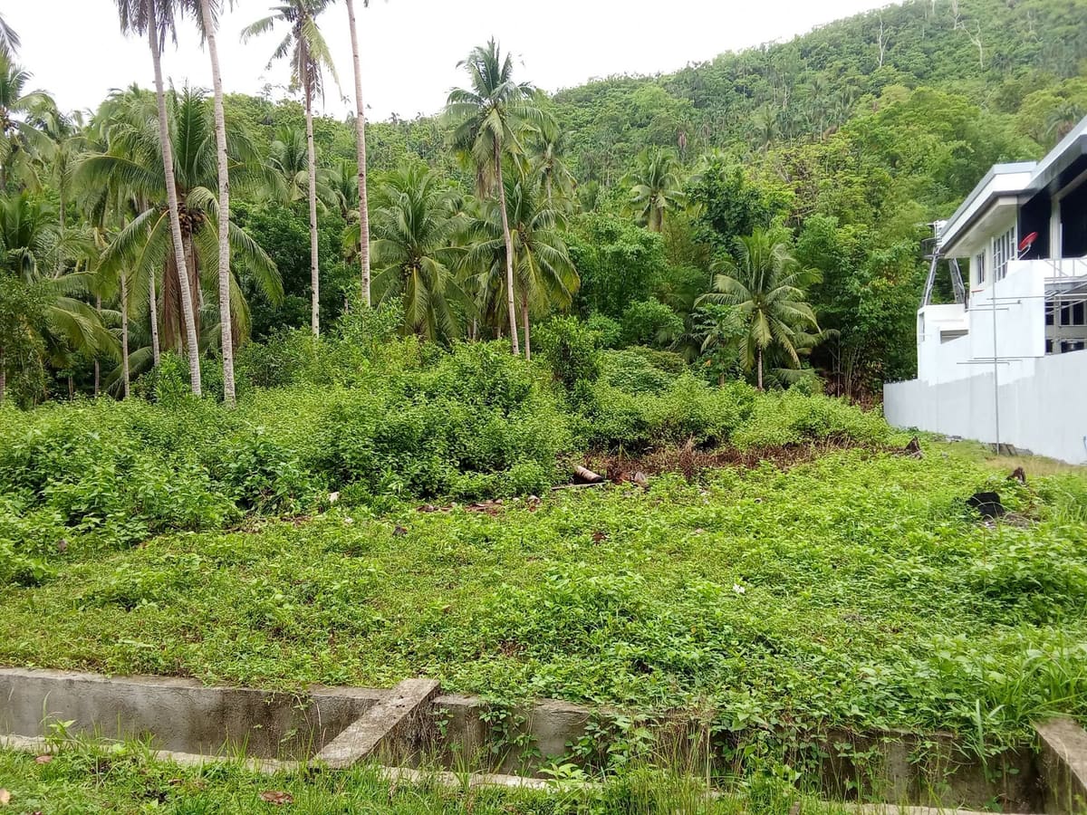 Commercial and Residential Lot Along the Road in Macrohon