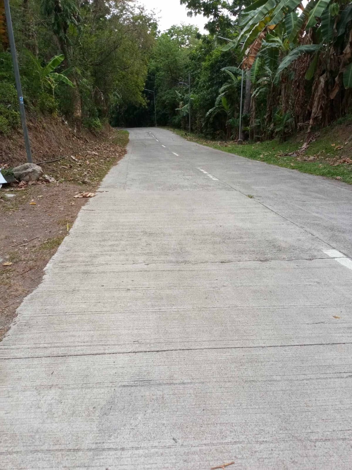 Agricultural and Residential Farm Lot in Guadalupe, Maasin City