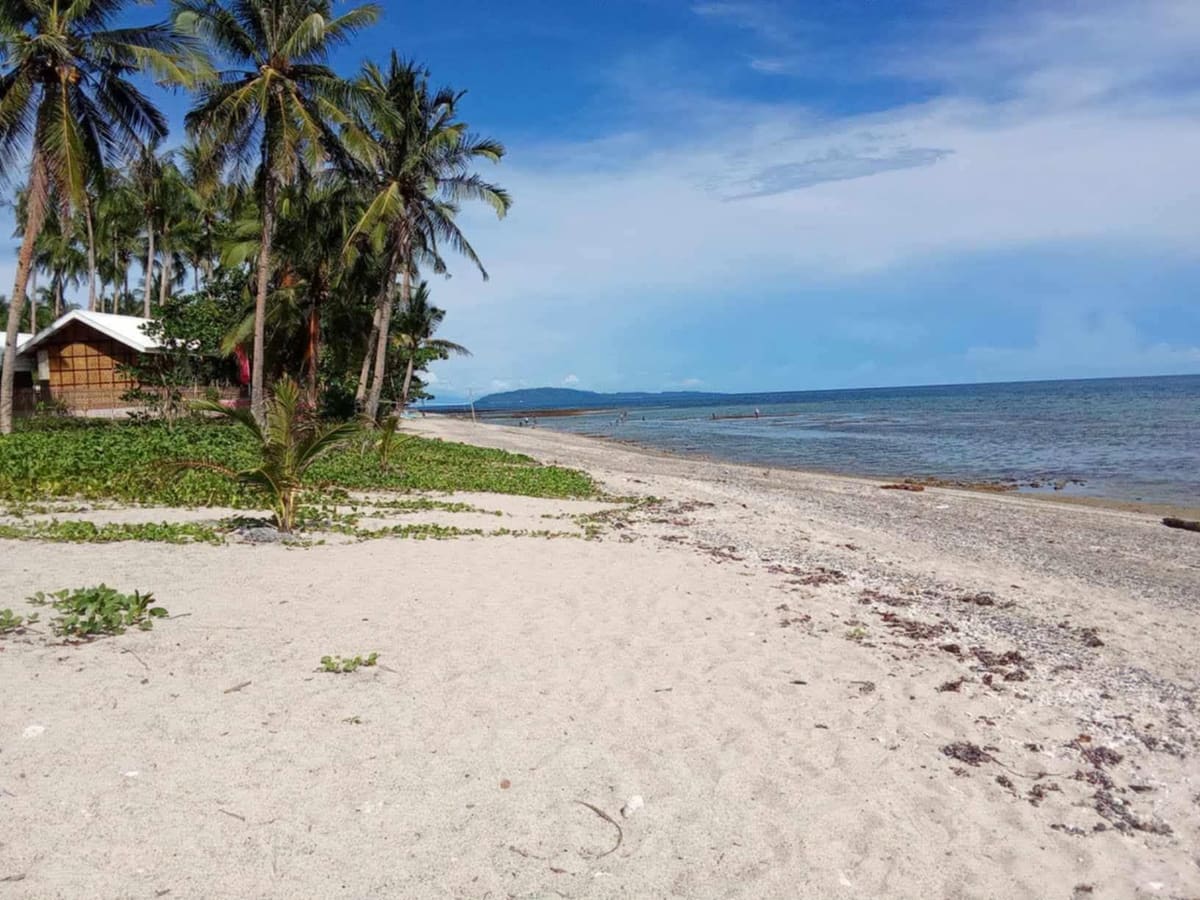 Exclusive Beach Lot with Scenic Views in Macrohon