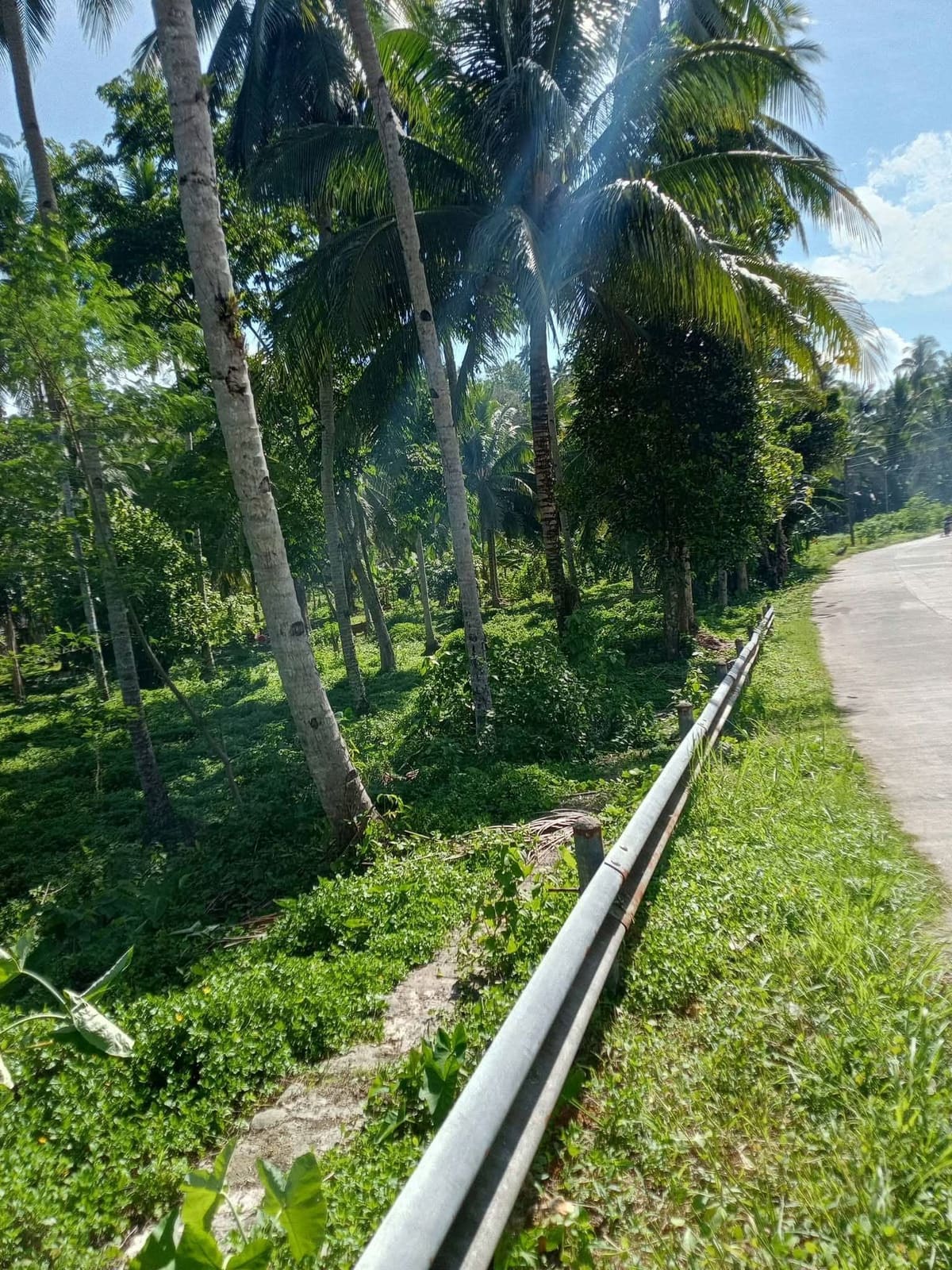 Titled Farm Lot for Sale in Ichon, Macrohon