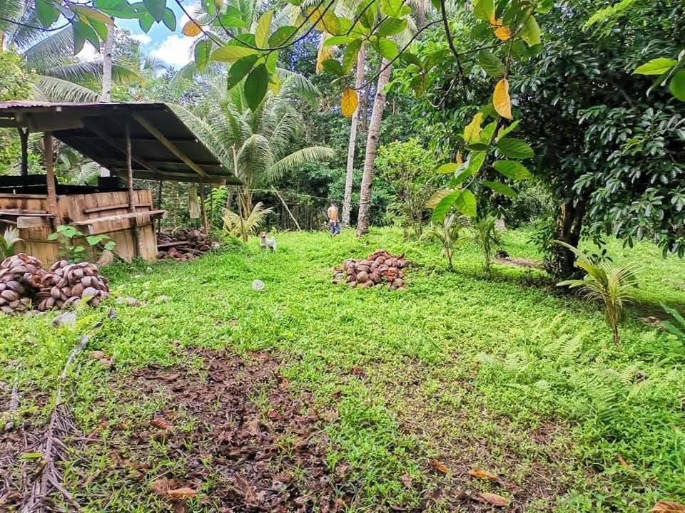 Agricultural Farm Lot for Sale in Nonok Norte, Maasin City