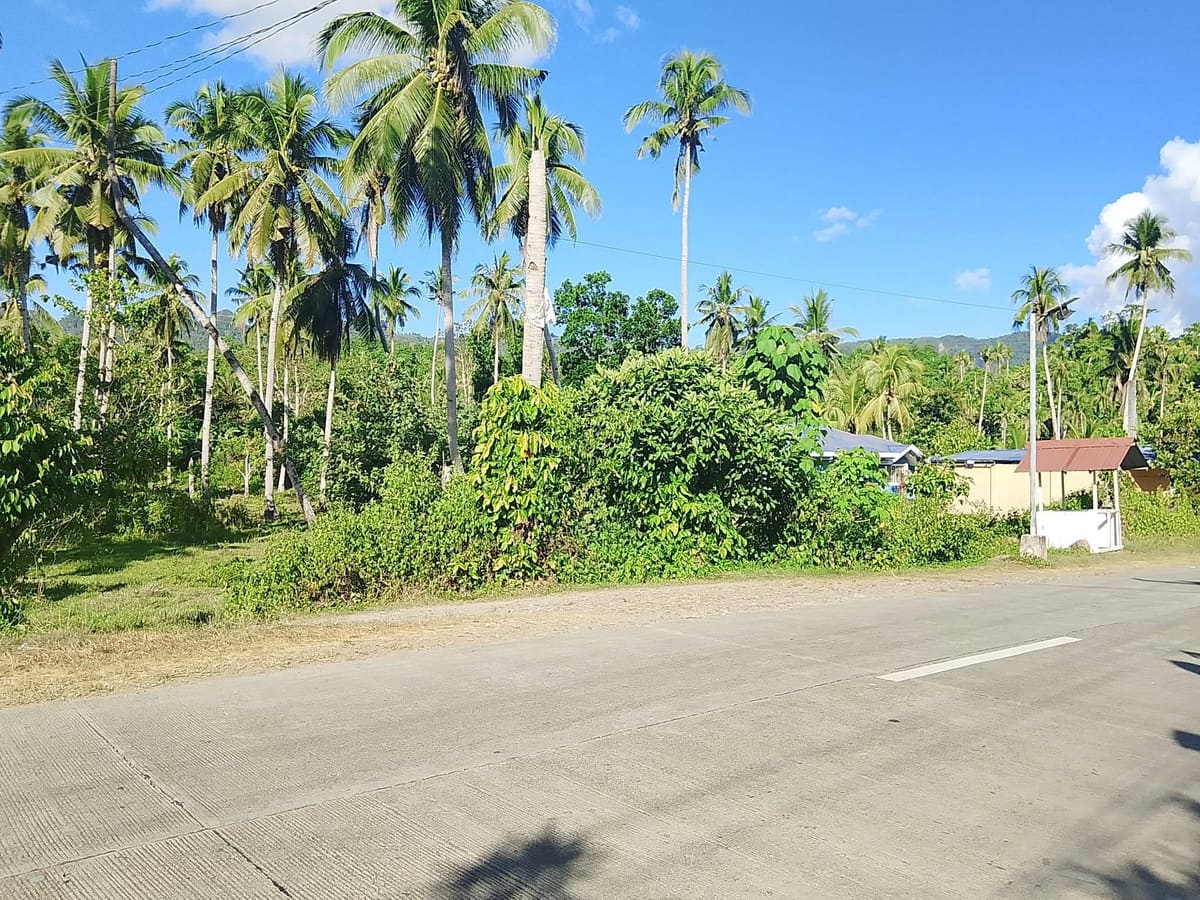 Roadside lot for sale in laboon