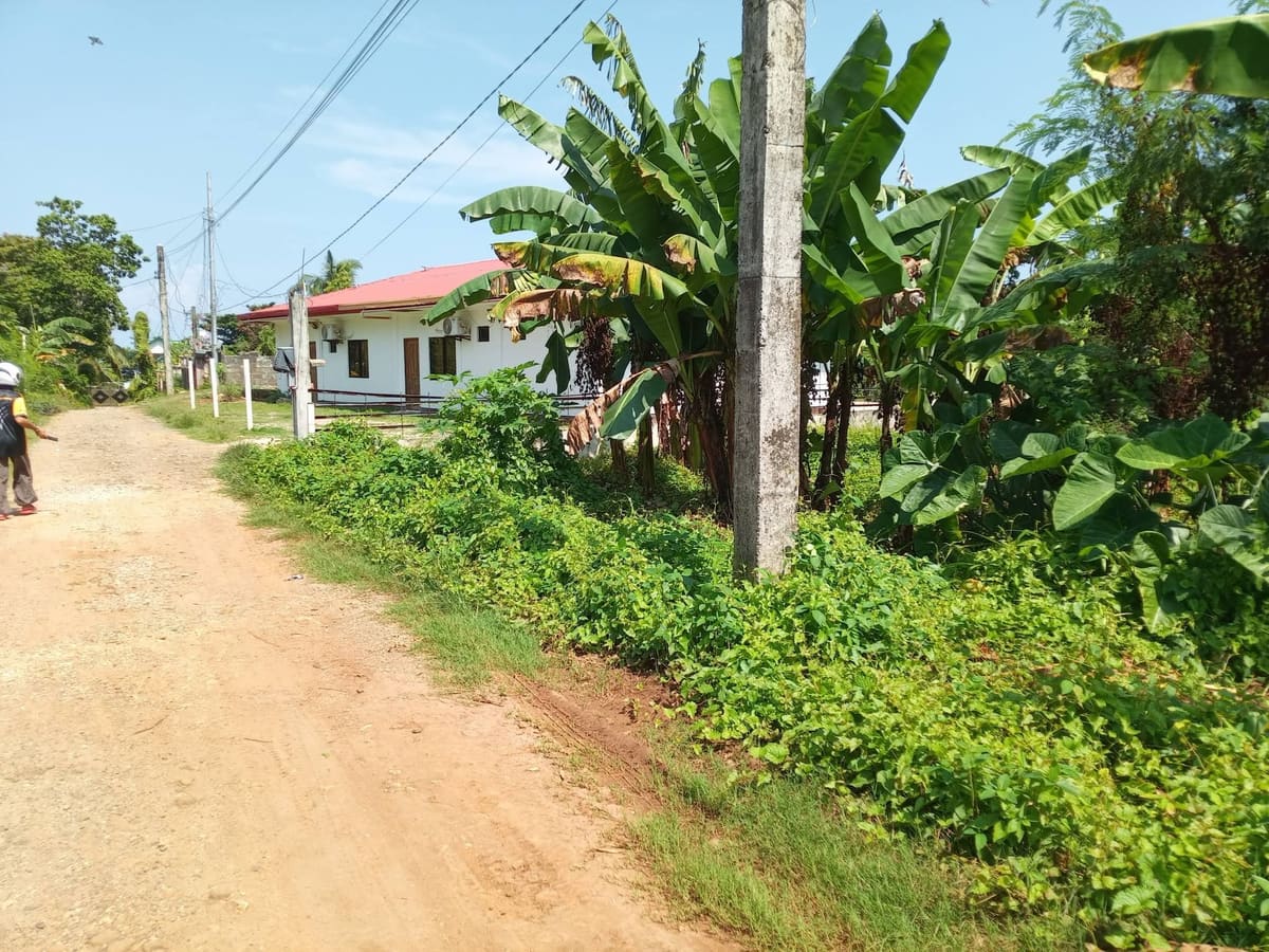 Lot for sale in amparo macrohon