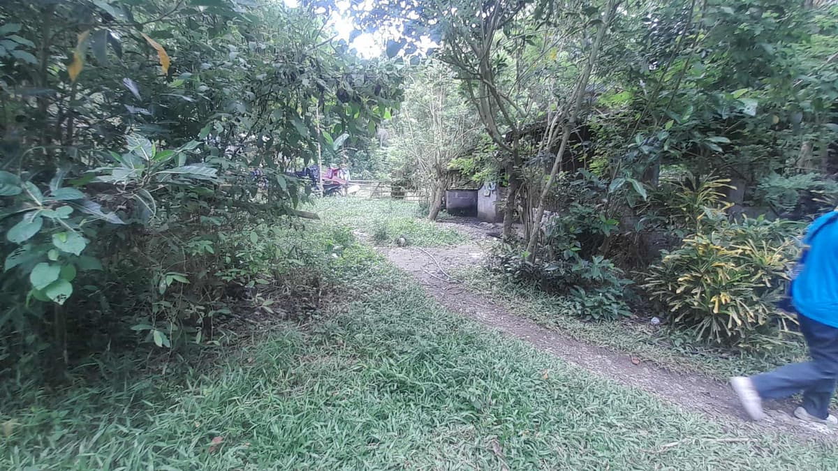 Income-Generating Property with Piggery in Ibarra